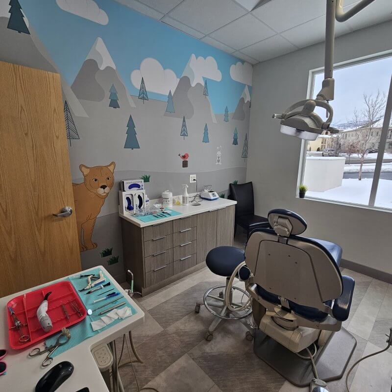 Treatment room at Pediatric Smiles & Braces in Orem, UT.